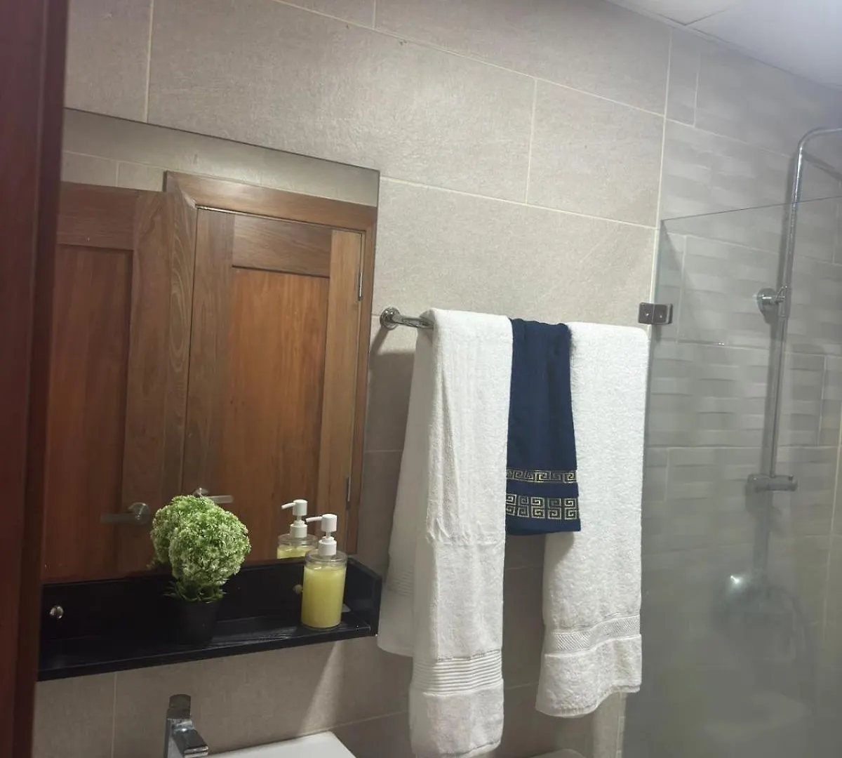 Hermoso Apartamento Acogedor Con Piscina A Dos Minutos De Blue Mall Santo Domingo Appartement